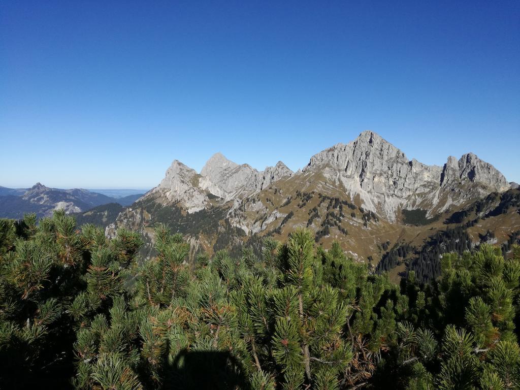 Ferienwohnung Schautzgy Reutte Dış mekan fotoğraf